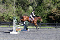 Mandolin Whitten on Thistle, Novice Horse Trials