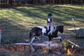 Reagan Roy on Paint By Numbers, Green Horse Trials Junior