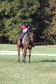 Shannon Daily on Pitt Maneuver, Novice Horse Trials Senior B