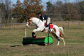Corrine Woods on Chief's Star Dreammaker, Beginner Novice Horse Trials Senior B