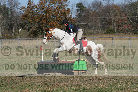 Corrine Woods on Chief's Star Dreammaker, Beginner Novice Horse Trials Senior B