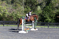 Mandolin Whitten on Thistle, Novice Horse Trials