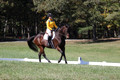Emily Digney on American Airman, Beginner Novice Horse Trials Senior B
