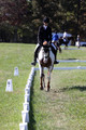 Holly Holbrook on Two Bet Chloe, Beginner Novice Horse Trials Junior A