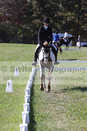 Holly Holbrook on Two Bet Chloe, Beginner Novice Horse Trials Junior A