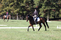 Margo Hardy on Soling's Hat Trick, Novice Horse Trials Senior B