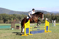 Allie Farley on Fiona, Novice Horse Trials Senior A
