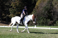 Elizabeth Schooley on Pearl, Advanced Green Horse Trials A