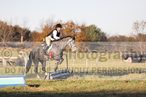 Elizabeth Brown on Ballygrace Encore, Green Horse Trials Senior