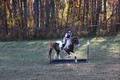 Reagan Roy on Paint By Numbers, Green Horse Trials Junior