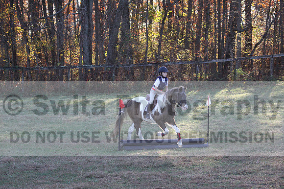 Reagan Roy on Paint By Numbers, Green Horse Trials Junior