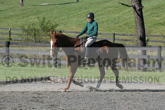 John Weir on Admiral, Dressage Only: Training Level, Test 2/3