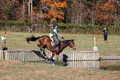 Wendy Zolinski on Civil Assets, Training Horse Trials