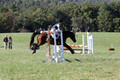 Elizabeth Davis on Freedom's Stormy Night, Beginner Novice Horse Trials Junior B