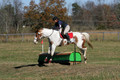 Corrine Woods on Chief's Star Dreammaker, Beginner Novice Horse Trials Senior B