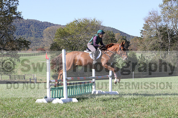Terry Adcock on Irish Belle, Novice Horse Trials Senior B, Dressage Only: First Level, Test 2