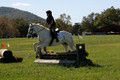 Violet Cross on Elpin Odin, Beginner Novice Horse Trials Junior B