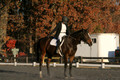 Thea Miller on Something Glamorous, Dressage Only: Training Level, Test 3