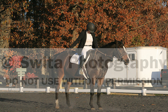 Thea Miller on Something Glamorous, Dressage Only: Training Level, Test 3
