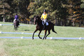 Emily Digney on American Airman, Beginner Novice Horse Trials Senior B