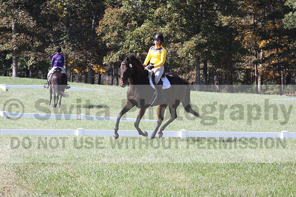 Emily Digney on American Airman, Beginner Novice Horse Trials Senior B