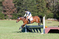Elizabeth Davis on Freedom's Stormy Night, Beginner Novice Horse Trials Junior B