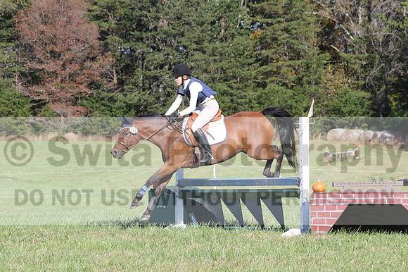 Elizabeth Davis on Freedom's Stormy Night, Beginner Novice Horse Trials Junior B