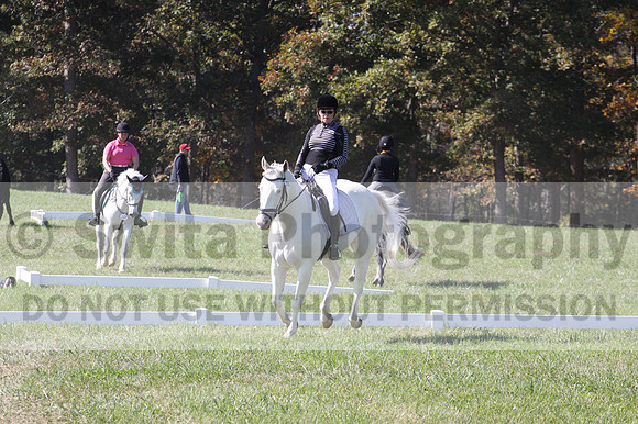 Kay Brady on Destiny's Mystique, Beginner Novice Horse Trials Senior C