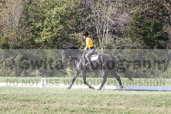 Madlen Lesesne on SBF Figaro, Advanced Green Horse Trials B