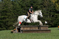 Violet Cross on Elpin Odin, Beginner Novice Horse Trials Junior B