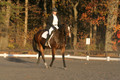 Thea Miller on Something Glamorous, Dressage Only: Training Level, Test 3