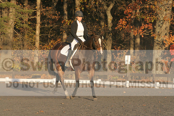 Thea Miller on Something Glamorous, Dressage Only: Training Level, Test 3