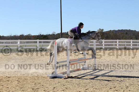 Adara-Rose Bolling on Artex, Beginner Novice Horse Trials Junior A