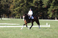 Allie Farley on Fiona, Novice Horse Trials Senior A