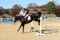 Dorothy Lower on The Wizard Of Oz, Advanced Green Horse Trials Junior A
