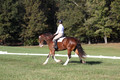 Allie Farley on Fiona, Novice Horse Trials Senior A