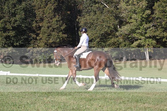 Allie Farley on Fiona, Novice Horse Trials Senior A