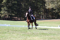 Elaine Groves on Luidonna, Beginner Novice Horse Trials Senior B