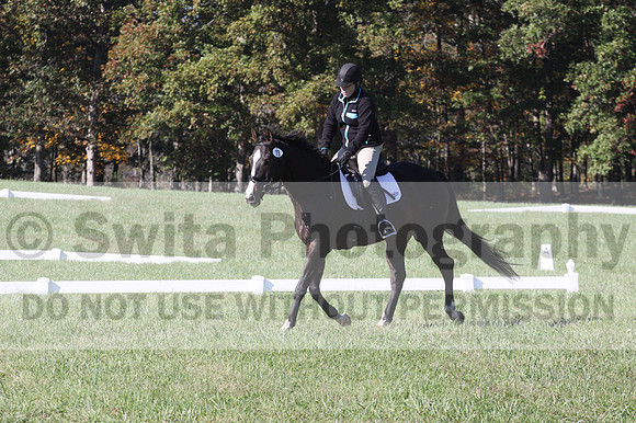 Mimi Combs on Aristocrat, Beginner Novice Horse Trials Senior A