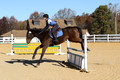 Shannon Daily on Pitt Maneuver, Novice Horse Trials Senior