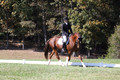 Emily Kagey on Flicka, Beginner Novice Horse Trials Junior A