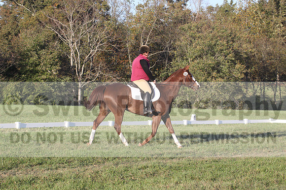 Katherine Palmer on Rio Time Roamer, Dressage Only: Intro A