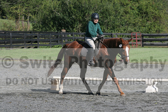John Weir on Admiral, Dressage Only: Training Level, Test 2/3