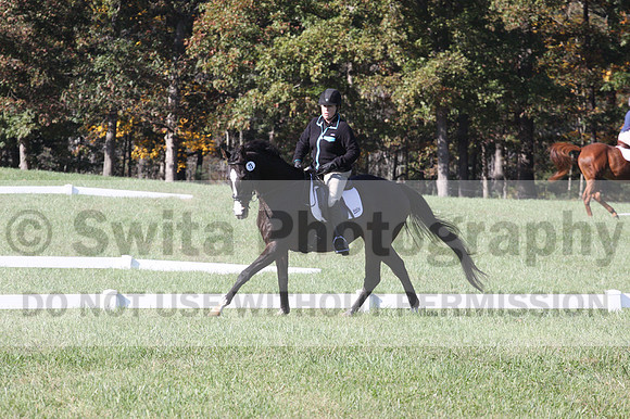 Mimi Combs on Aristocrat, Beginner Novice Horse Trials Senior A