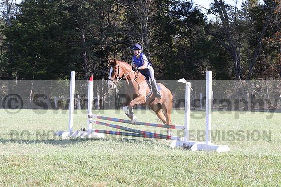Amy Parsons on Wren Wrouge, Advanced Green Horse Trials A