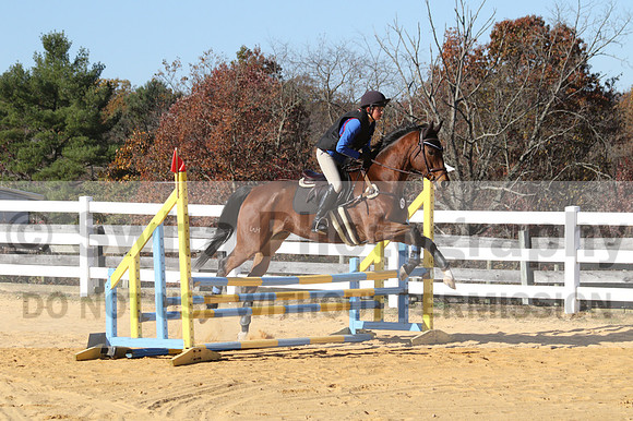 Francesca Toms on Top Secret, Novice Horse Trials Junior