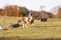 Reagan Roy on Paint By Numbers, Green Horse Trials Junior