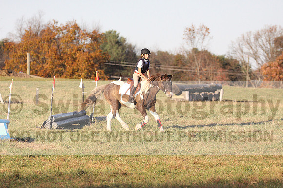 Reagan Roy on Paint By Numbers, Green Horse Trials Junior