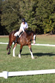 Allie Farley on Fiona, Novice Horse Trials Senior A