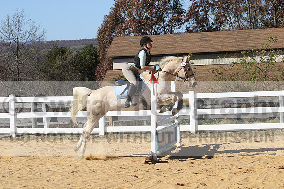 Anna Kryder on MEMC Playboy, Beginner Novice Horse Trials Junior A